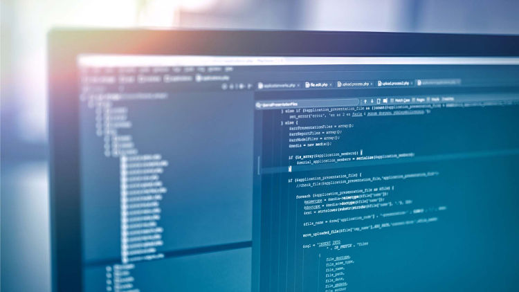 Softwareentwicklung